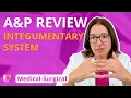 Integumentary System A P Review Medical-Surgical MedSurg LevelUpRN