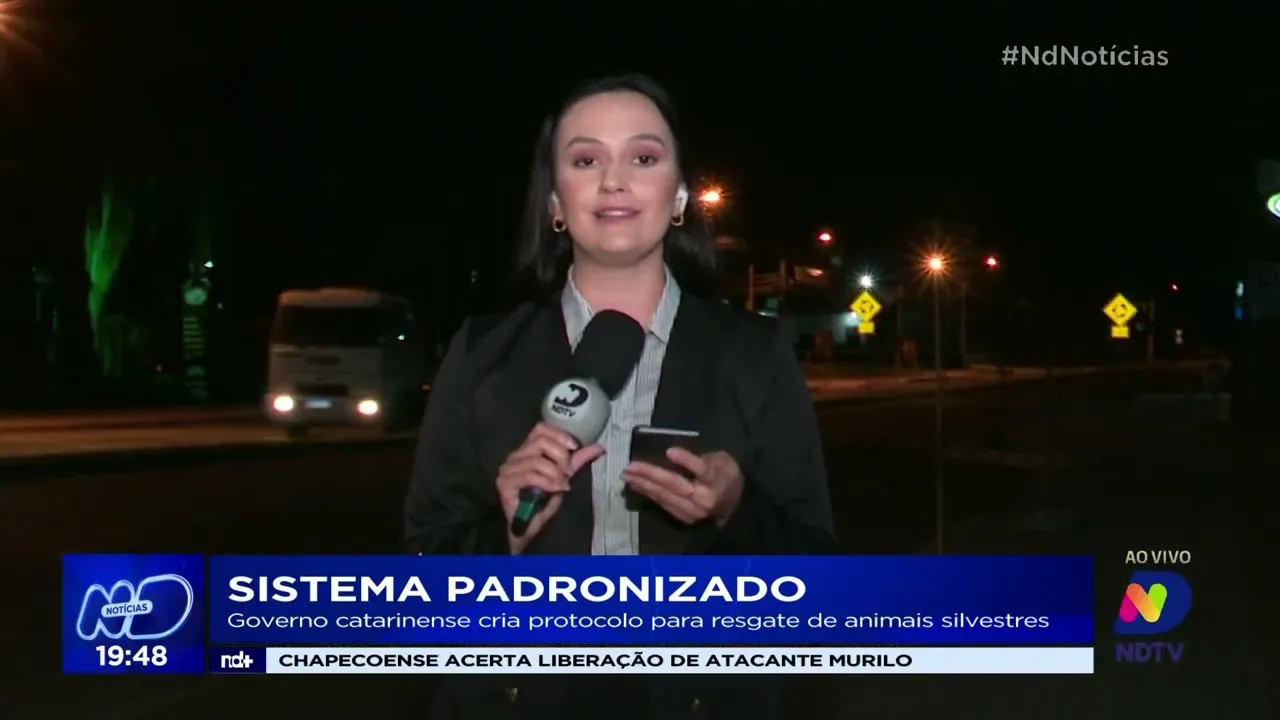 Governo catarinense cria protocolo para resgate de animais silvestres