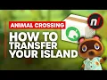 How to Transfer Your Animal Crossing Island to a New Switch Console Easily Safely