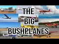 The Workhorse Bush planes 4 seats or more Why we chose the Bearhawk 5