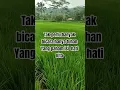 Download Lagu gak perlu banyak bicara hanya tuhan yang paham isi hati kita#sawah #shots