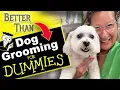 Dog Grooming Steps for Dummies