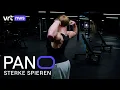 Download Lagu Jonge fitnessers in de ban van gespierde influencers, experts waarschuwen