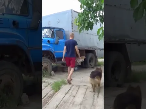 Será que o motorista conseguirá consertar o pneu rapidamente? 🛞🔧