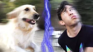 nyoom