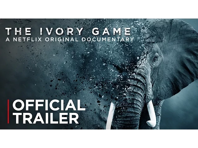 The Ivory Game | Official Trailer [HD] | Netflix