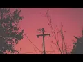 zayn ft. sia // dusk till dawn (s l o w e d)