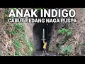 Lagu VIRAL..! ANAK INDIGO CABUT PEDANG NAGA PUSPA LAGI VIRAL DI JAWA TIMUR