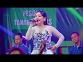 Download Lagu SEKTI - ICHA KISWARA NEW PALLAPA PAPAT COMMUNITY