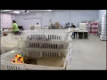 Meyer Hatchery