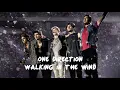 Download Lagu One Direction - Walking in the wind (unofficial video)