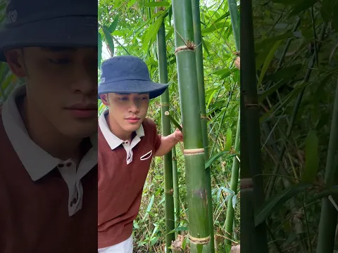 Survival Skills: How to Get Water from a BAMBOO Tree 💧🌍#ohd #survival #camping #bushcraft #skills