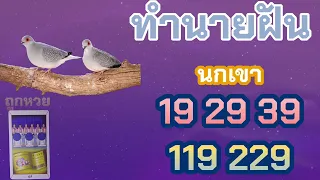 ทำนายฝัน นกเขา #นกเขา   #ชายหญิง #ทำนายฝัน พร้อม #เลขเด็ด #แม่นมาก