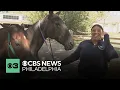 Work to Ride ready to open its new 15 million Philly arena for horseback riding and polo