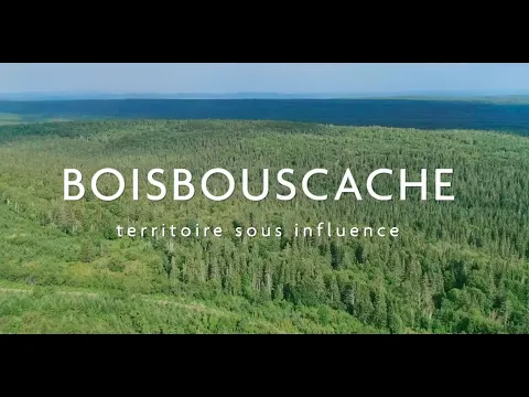 Boisbouscache | Bande-annonce officielle