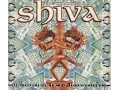 Download Lagu The Colour Of Shiva 2 (Full Compilation)