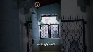 لو كان بيننا الحبيب ﷺ دندنها