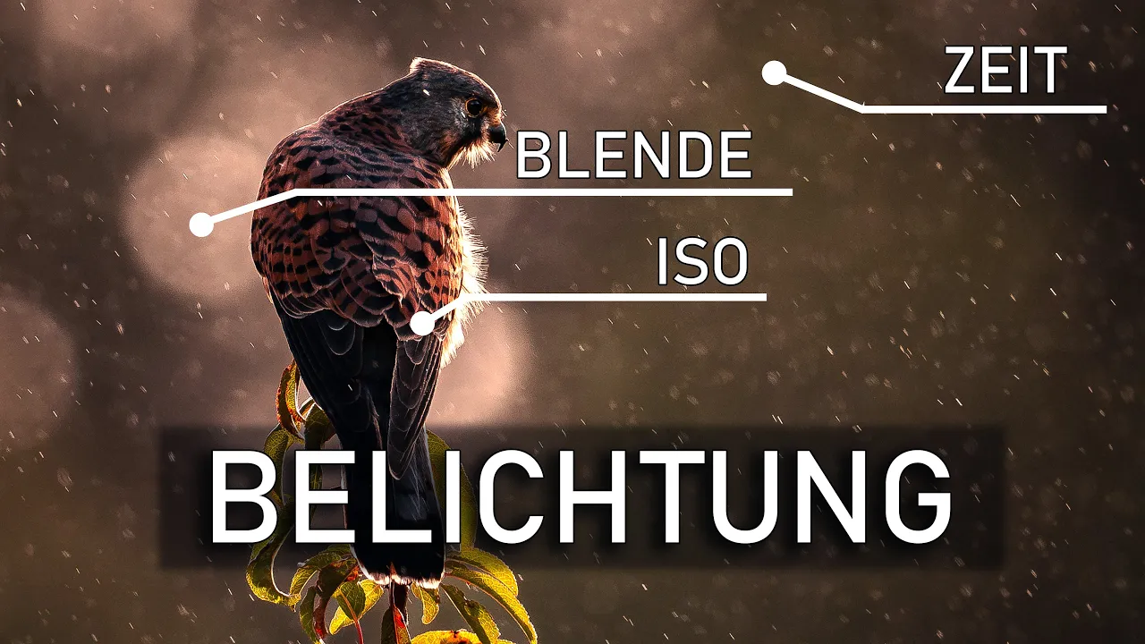 Fotografieren lernen für Anfänger, super easy erklärt |Teil 1