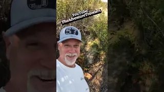 Doing our daily hike yesterday I almost stepped on two camouflaged rattlesnakes￼. #Snake #snakes