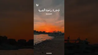 هو انتو انتو عليكوا ضغوطات واحنا مكسرات اكسبلور تيك توك Funny Nature 