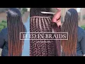 FEED IN BRAIDS IrenesBraids