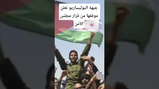 جبهة البوليساريو تعلن موقفها من قرار مجلس الأمن 