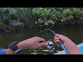 Download Lagu Baru kali ini mancing bisa dapat kakap tumpil sebanyak ini