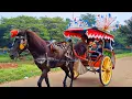 Download Lagu KALAU KAU SUKA HATI ‼️NAIK KUDA ~ KUDA DELMAN ~ NAIK DELMAN ISTIMEWA ~ DI SINI SENANG DI SANA SENANG