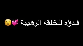 تيسير السفير   إلا أحبك   دندنها