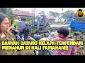 Download Lagu BATANG KELAPA MENAHUN ⁉️ADA DI KALI PAMAHAN #kdm