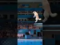 Download Lagu POV: Your dog is an Olympic diver