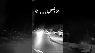 سمارو هدلي حيلي 