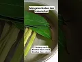 Download Lagu mengatasi kebas kesemutan pada tangan dan kaki| tangan kebas | kebas |kesemutan #short  #shorts