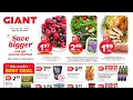 GIANT Food Stores May 22 - May 28 2026 Weekly Ad