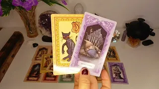 VAI ACONTECER ESSA SEMANA 5 FATOS E 2 MUDANÇAS EM 48HS É MUITO SÉRIO VOU FALAR TUDO! #tarot #fyp