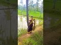 Download Lagu chalakku chalakku song kerala  location 💞💞