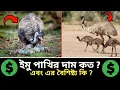 How much does an emu bird cost And how to raise it Where to buy it emu bird price in Banglades
