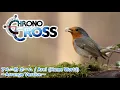 【クロノクロス】アルニ村 ホーム / Arni Home World - Arrange Version【CHRONO CROSS】