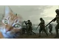 PTSD Cat