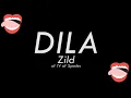 Zild - Dila (Lyric Video)