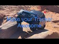 Geo Tracker Ultimate Build Guide