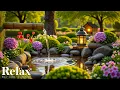 Download Lagu Relaxing Sleep Music 🌿 Relieve Stress, Anxiety \u0026 Depression | Deep Sleep Healing for Body \u0026 Soul