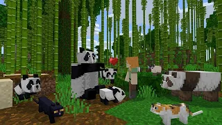 Minecraft Surviving on a Deserted Island 🏝️ — Stranded Survival Challenge Gameplay