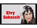 Download Lagu ELVY SUKAESIH - PENANTIANKU BAGOL_COLLECTION