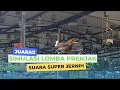Lagu Prenjak Juara || Simulasi Lomba Prenjak Suara Jernih