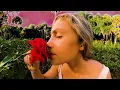 The Hip Abduction - 'Garden Grove' (Official Music Video)