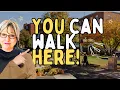The Most Walkable Neighborhoods in Berkeley County WV