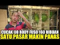 Download Lagu PRAMUKA MEMANAS ! CUMA KIOS PAKDE INI YG NEJAD JUAL CUCAK IJO RAWATAN 160 RIBU BODY SUPER