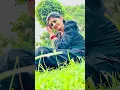 Download Lagu Loot liya | khasa aala chahar | #youtubeshorts #haryanvisong #khasaaalachahar #song #love #skbhobhia