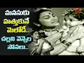 Download Lagu Challani Vennela Sonalu Mesmerising Melody | Velugu Needalu Old | Girija, Savitri | Old Telugu Songs